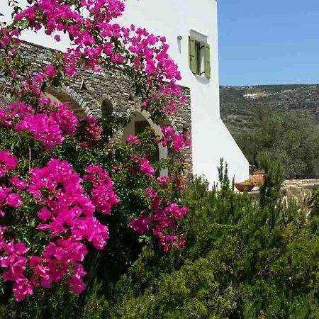 Case Panoramiche Platis Gialos  Εξωτερικό φωτογραφία