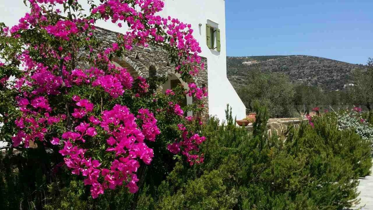Case Panoramiche Platis Gialos  Εξωτερικό φωτογραφία
